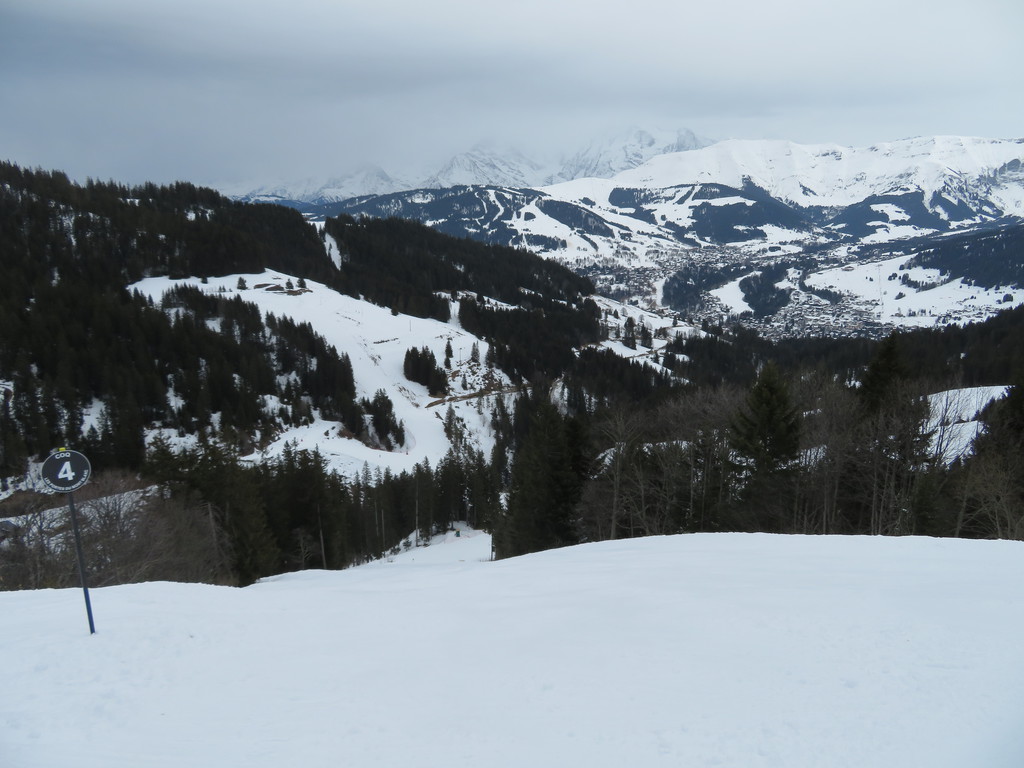 img_0551x3ktd.jpg