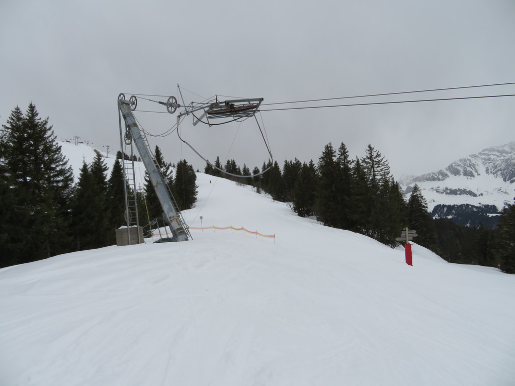 img_0563qejdp.jpg