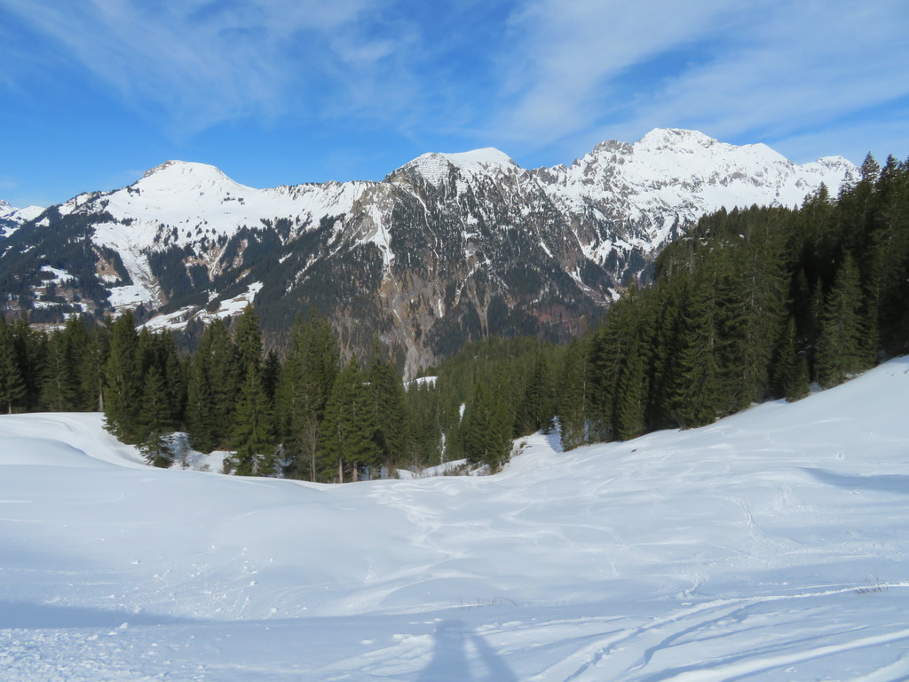 img_0960odjra.jpg