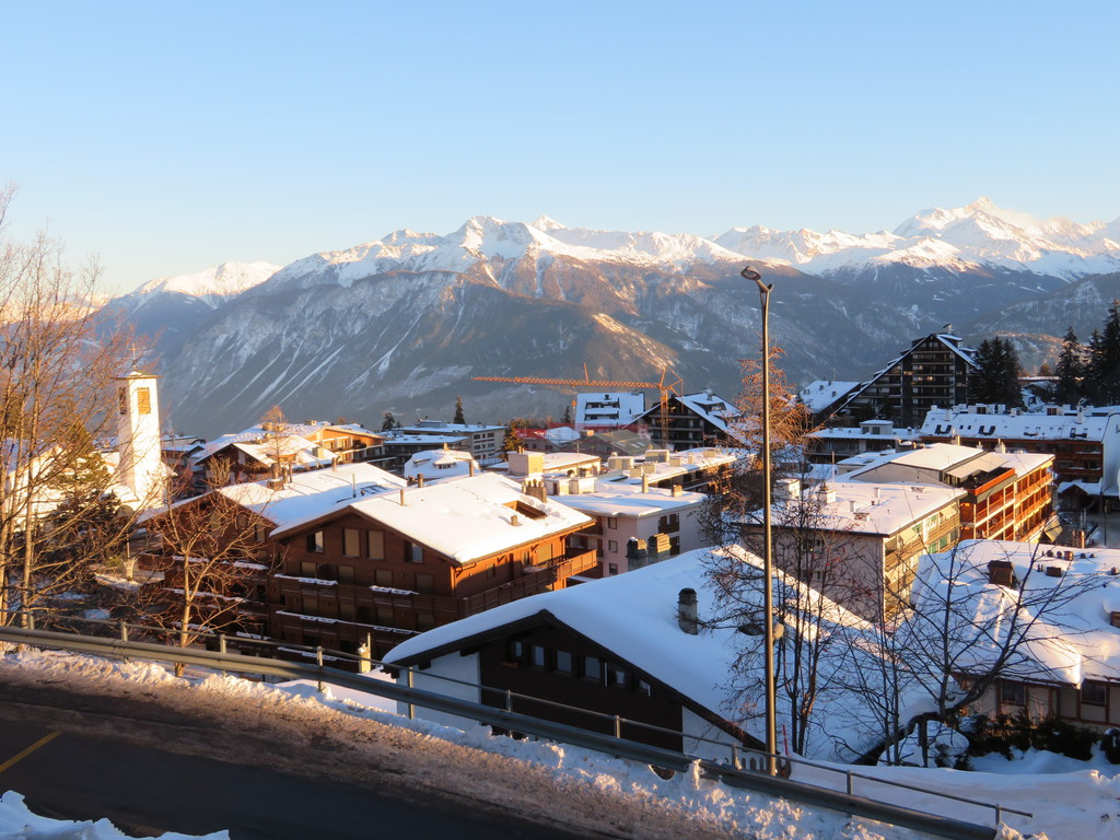 img_11990ljmt.jpg