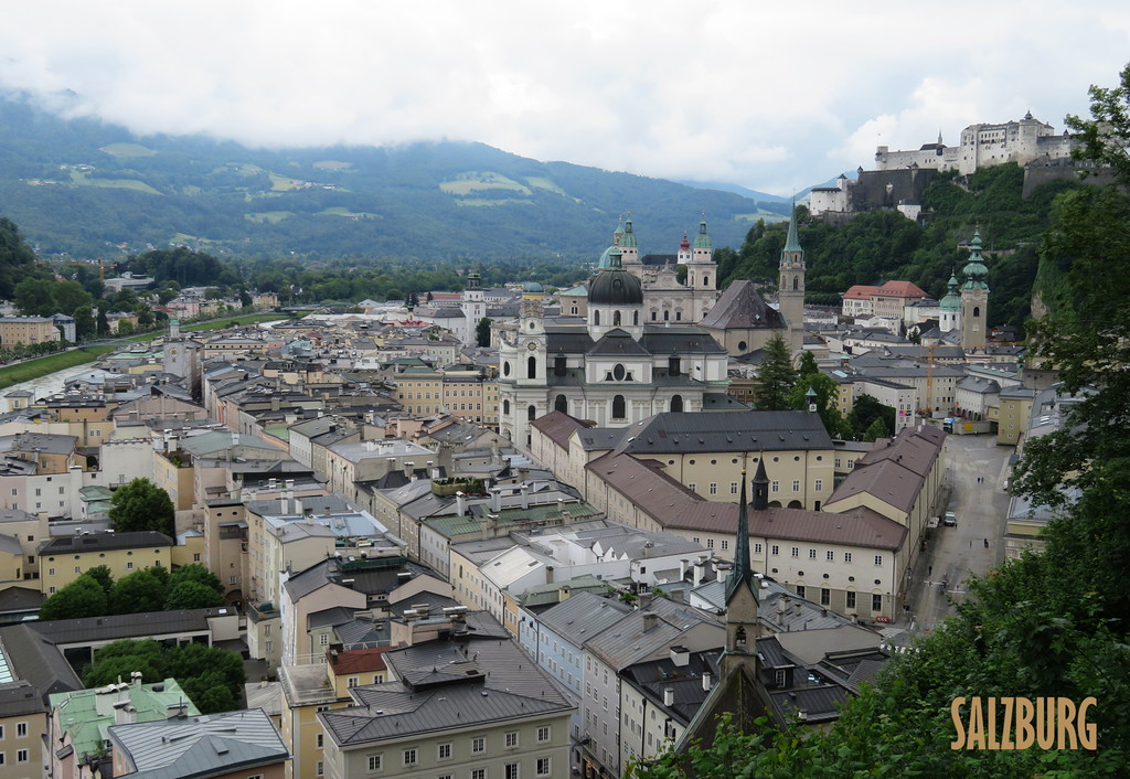 img_1455x4kex.jpg