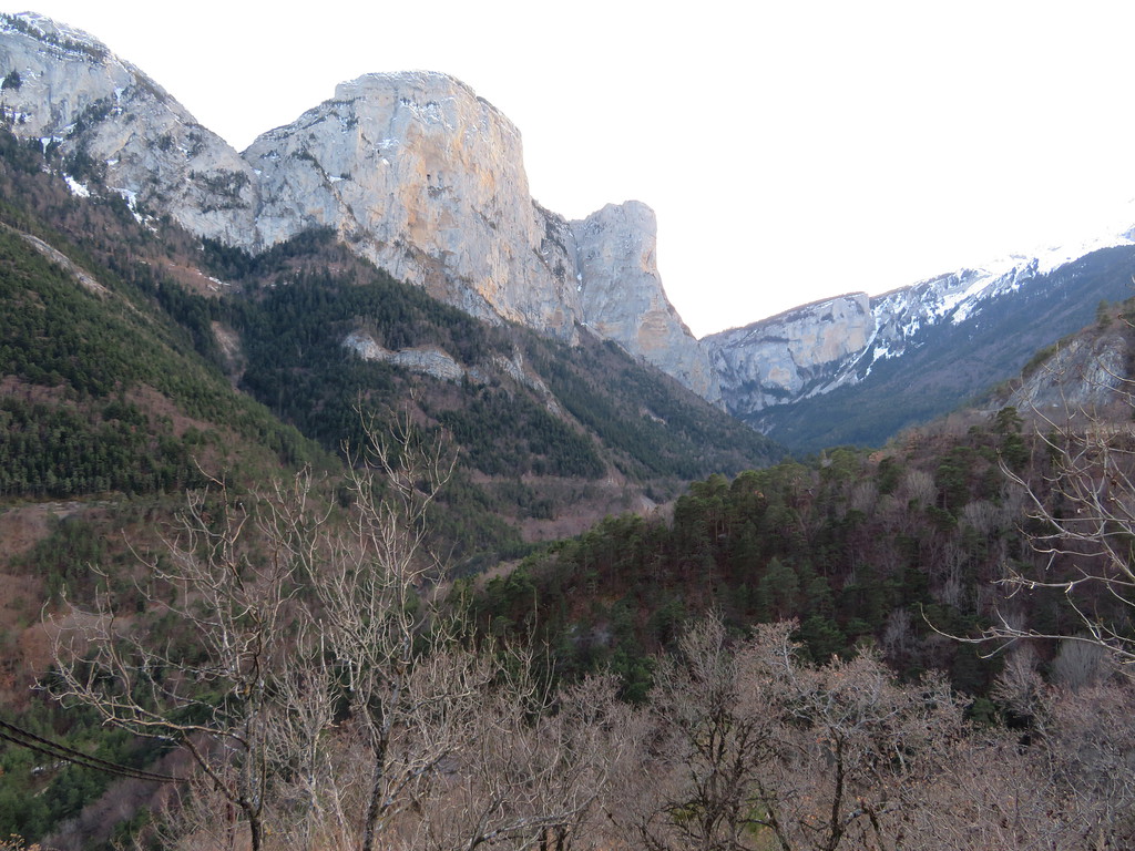 img_1725-kopieulus9.jpg
