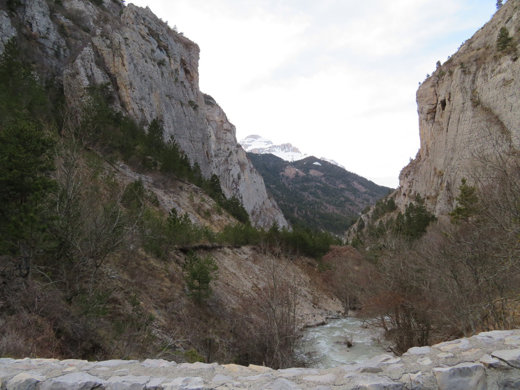 img_17367oskh.jpg