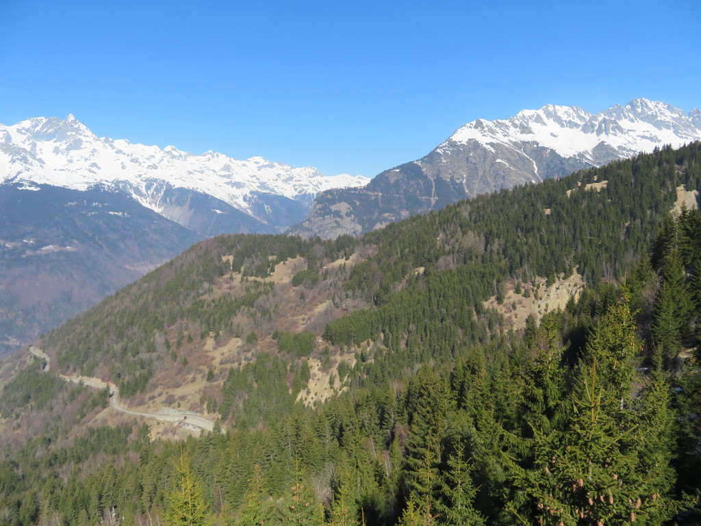 img_2220azja1.jpg