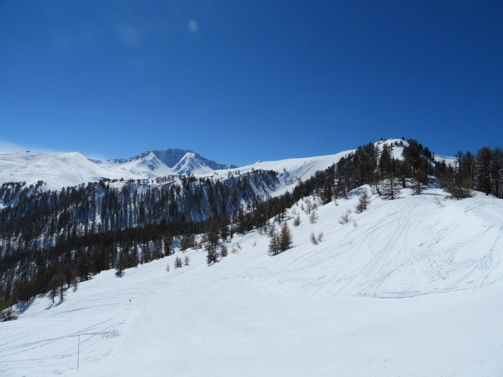 img_23805tscu.jpg