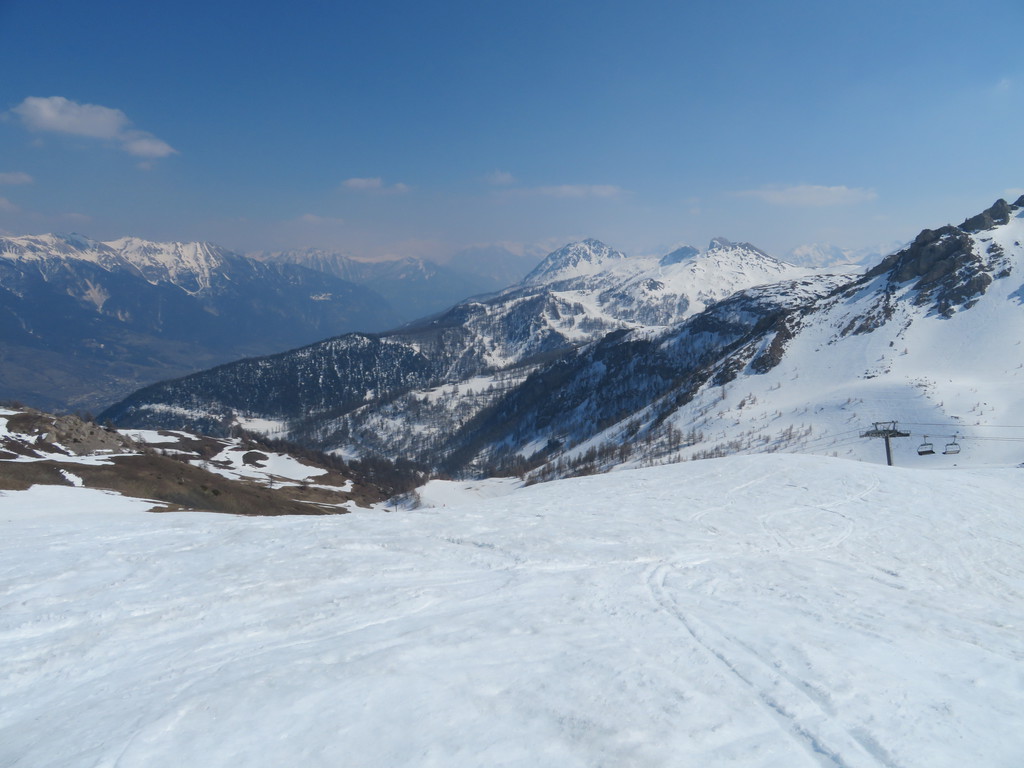 img_2450koka6.jpg