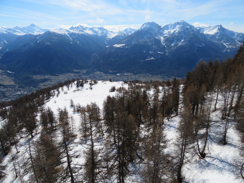 img_2519hfuqc.jpg