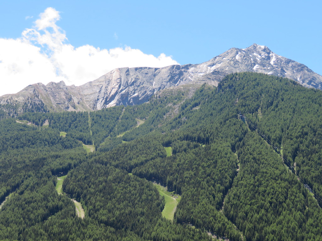 img_2547cekgp.jpg