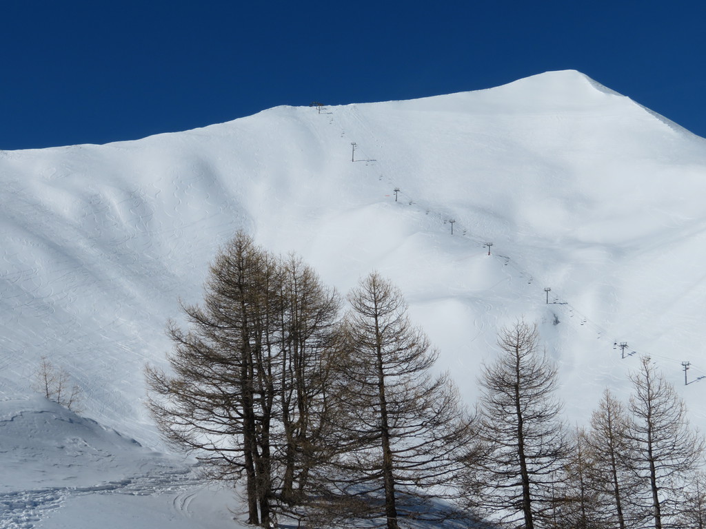 img_2580dlscx.jpg