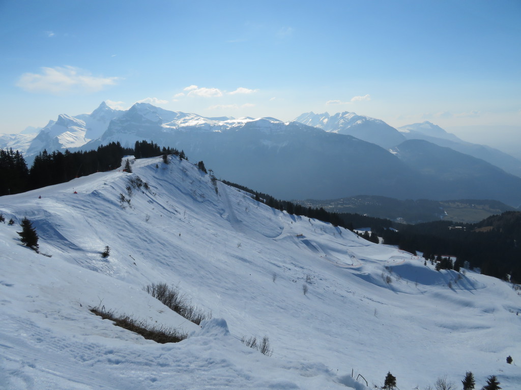 img_2659cmjv0.jpg