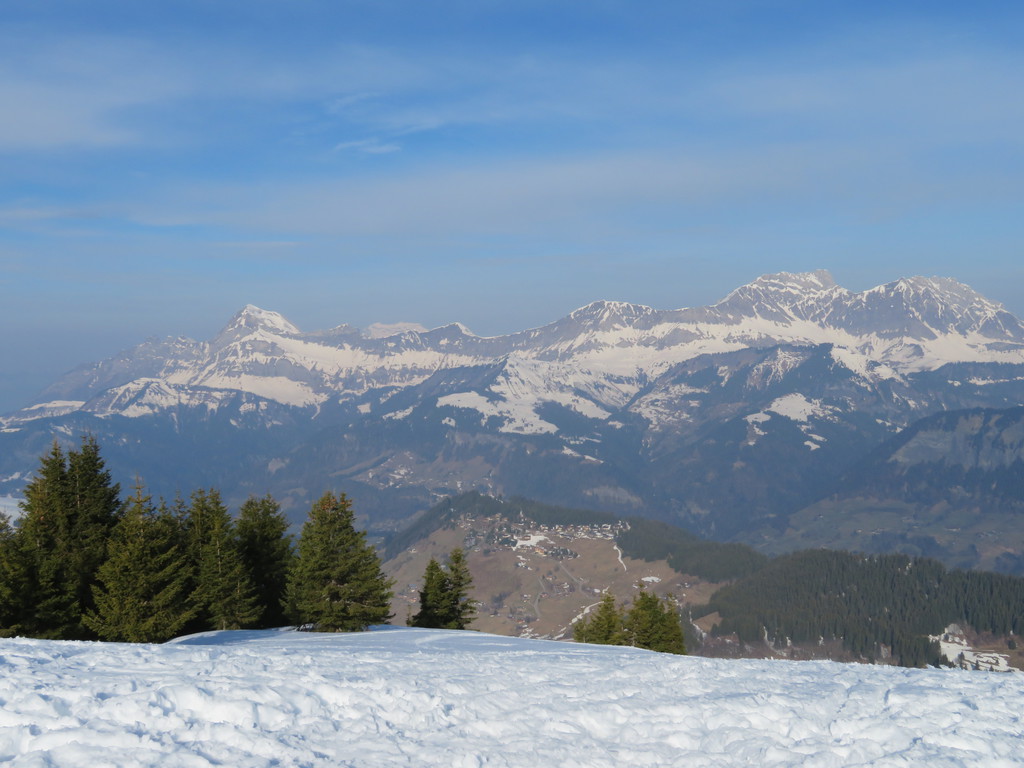 img_275866j39.jpg