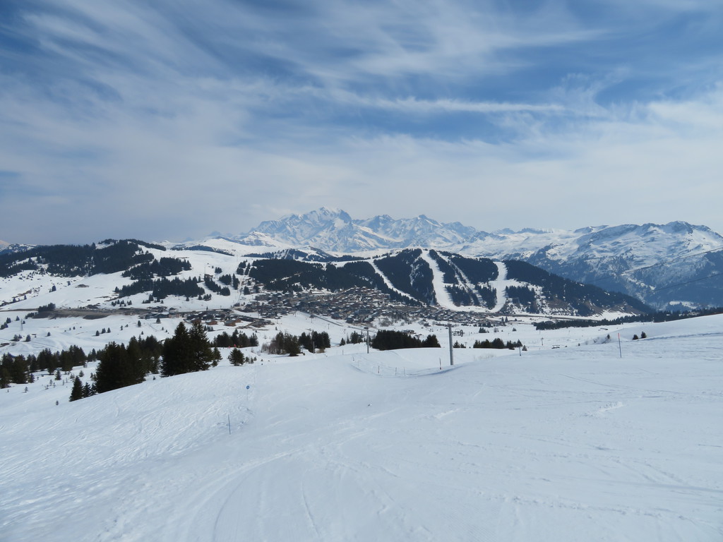 img_2829w3jfm.jpg