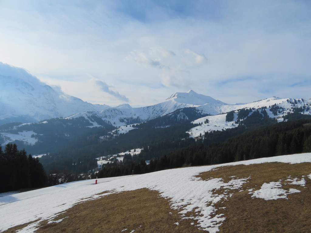 img_2896g1jey.jpg