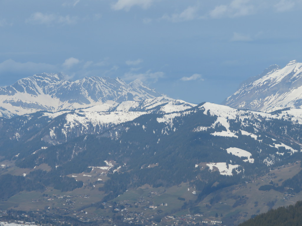img_292275kn8.jpg