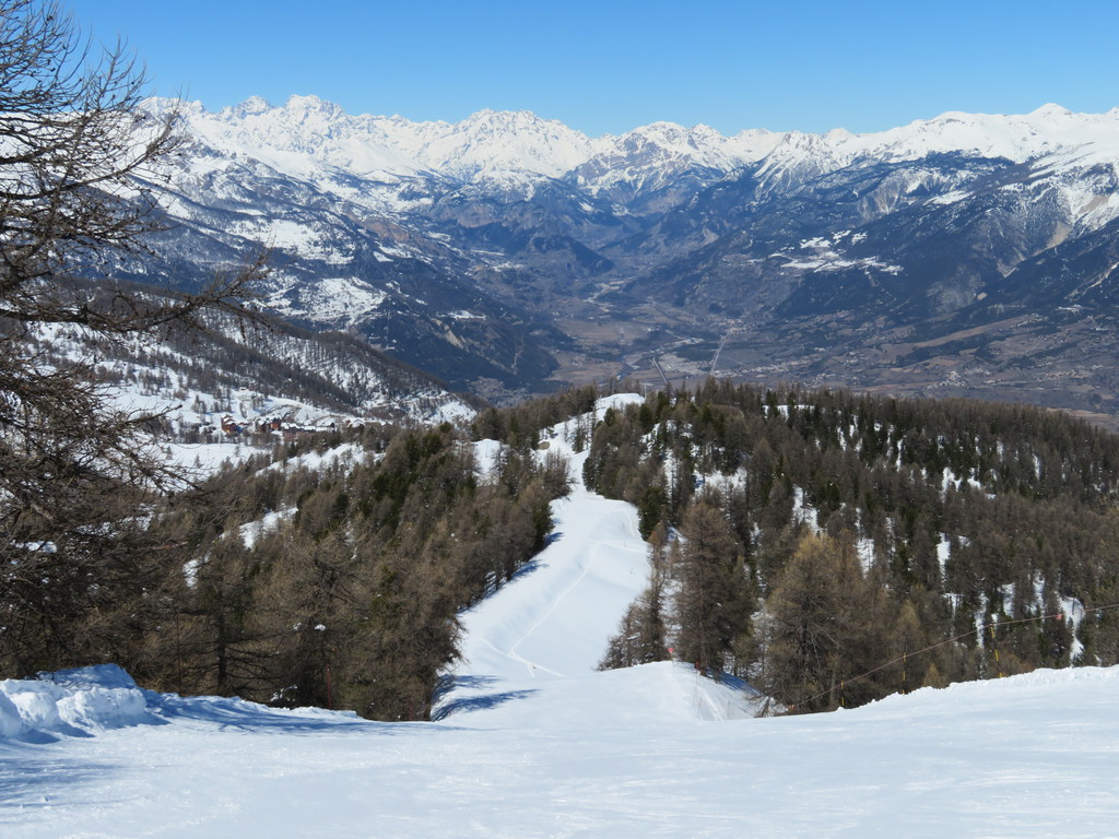 img_2933zirpa.jpg