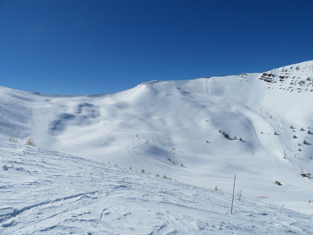img_2950bsq8p.jpg