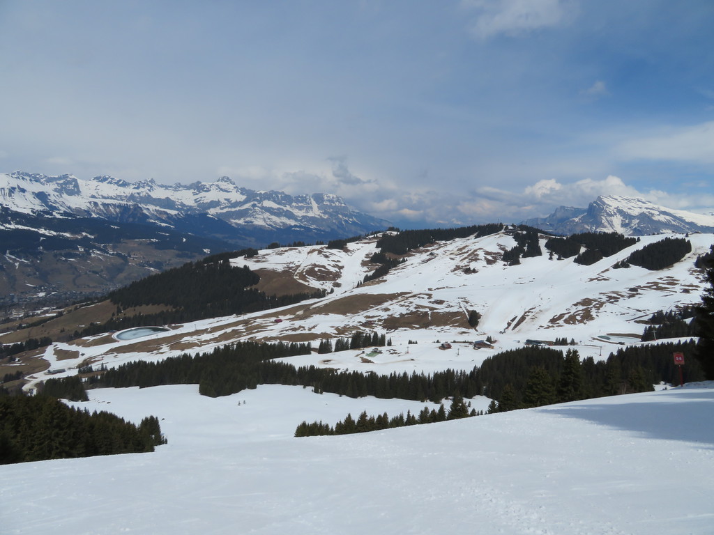 img_2977rcjdb.jpg