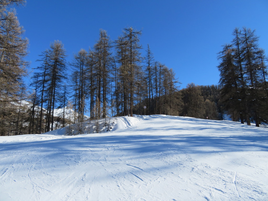 img_2989nvrc3.jpg