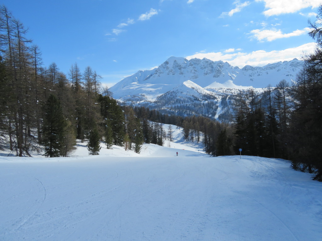 img_303464qoi.jpg