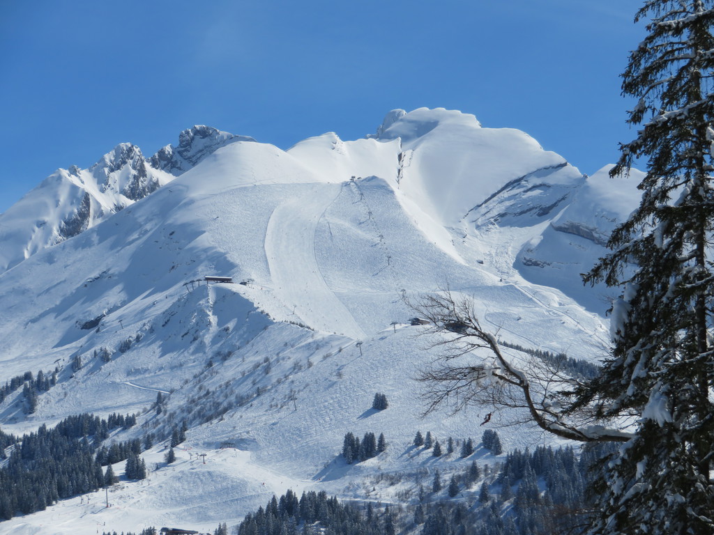 img_3117ihkvv.jpg