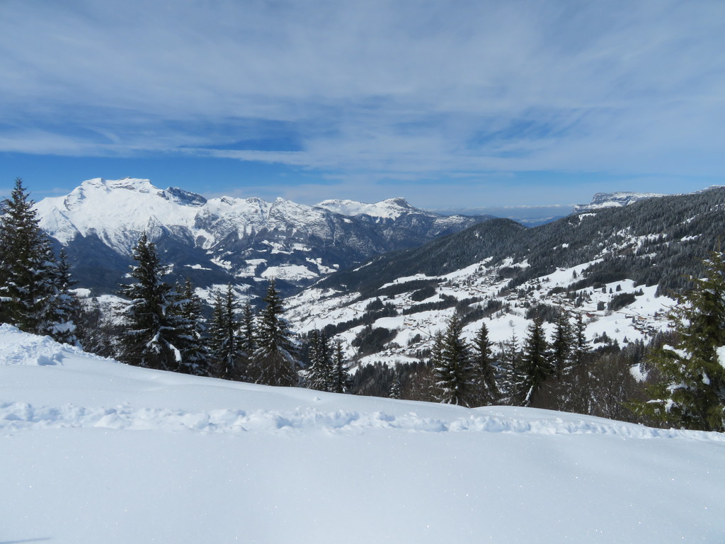 img_31320tja5.jpg