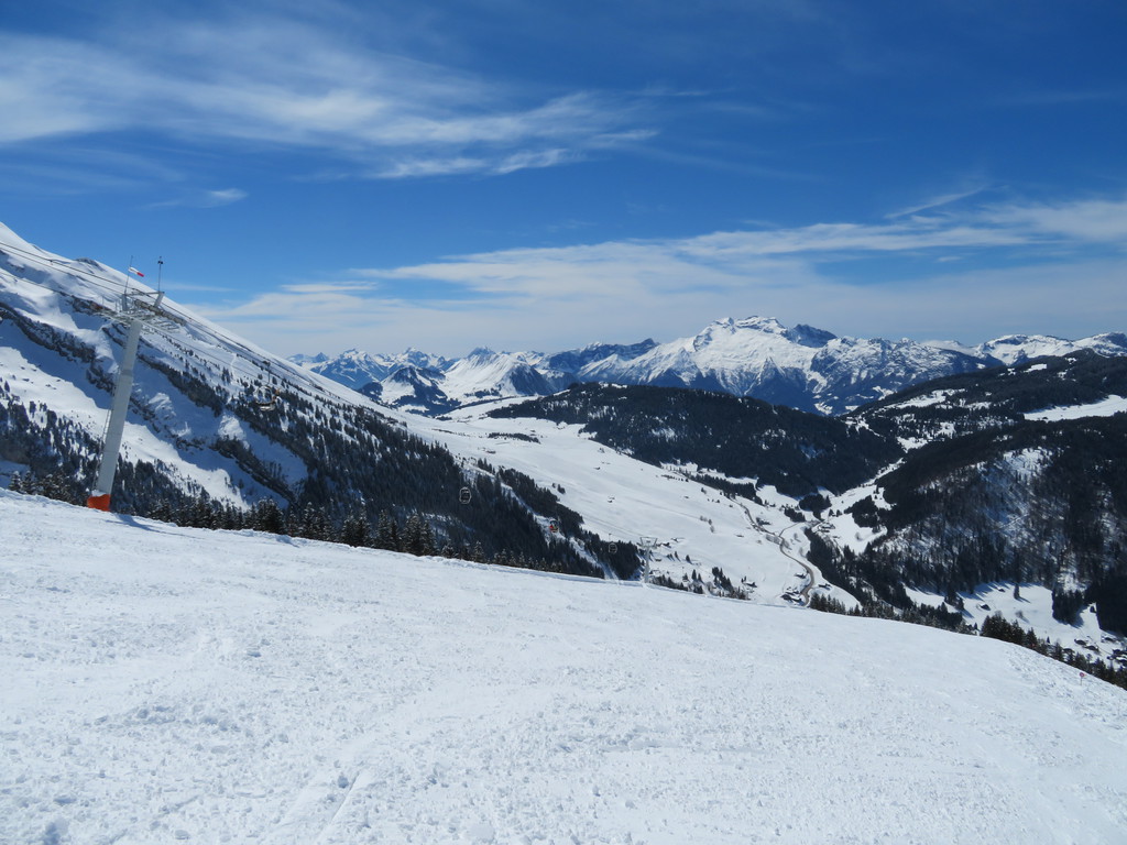 img_3159mejib.jpg