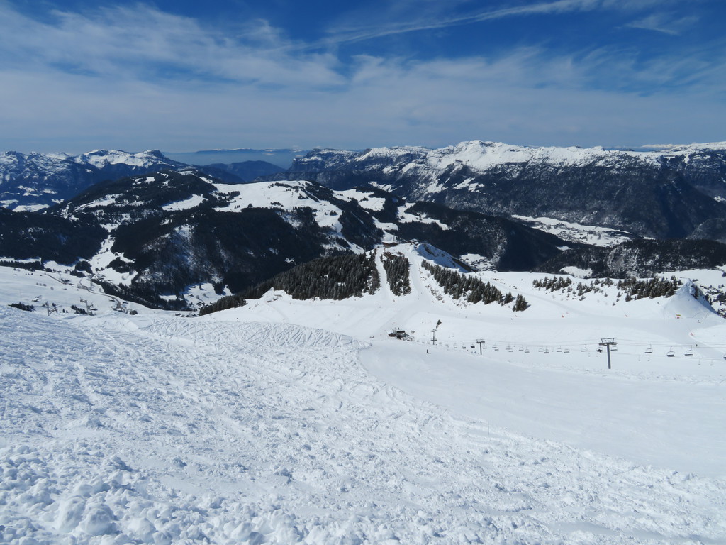 img_31710fk1p.jpg