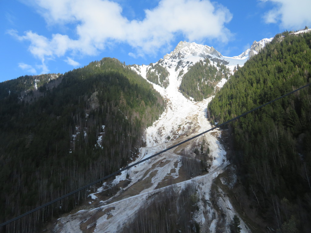 img_3393x1qoy.jpg