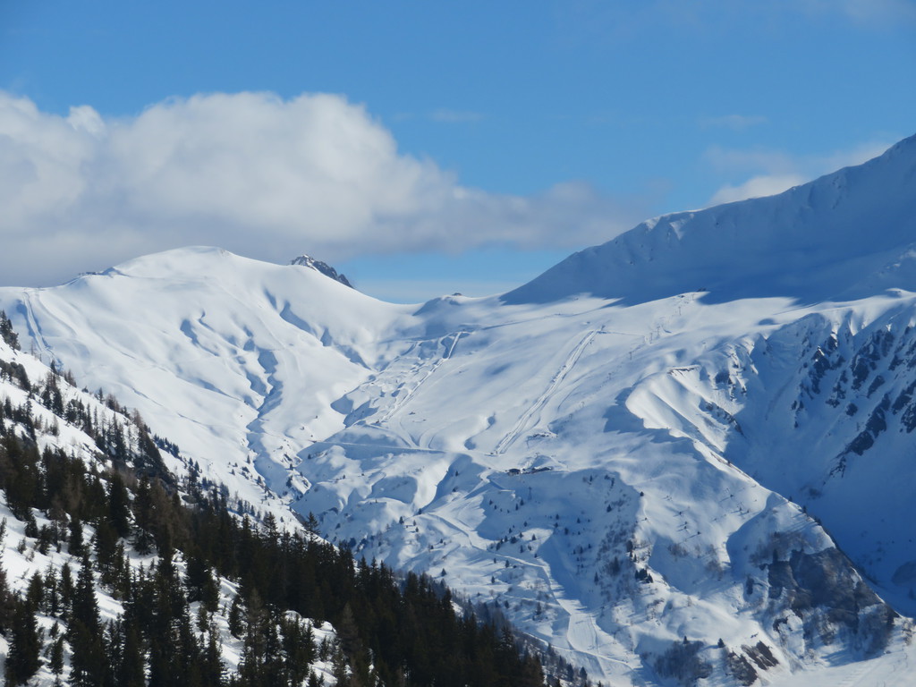 img_34396kr00.jpg