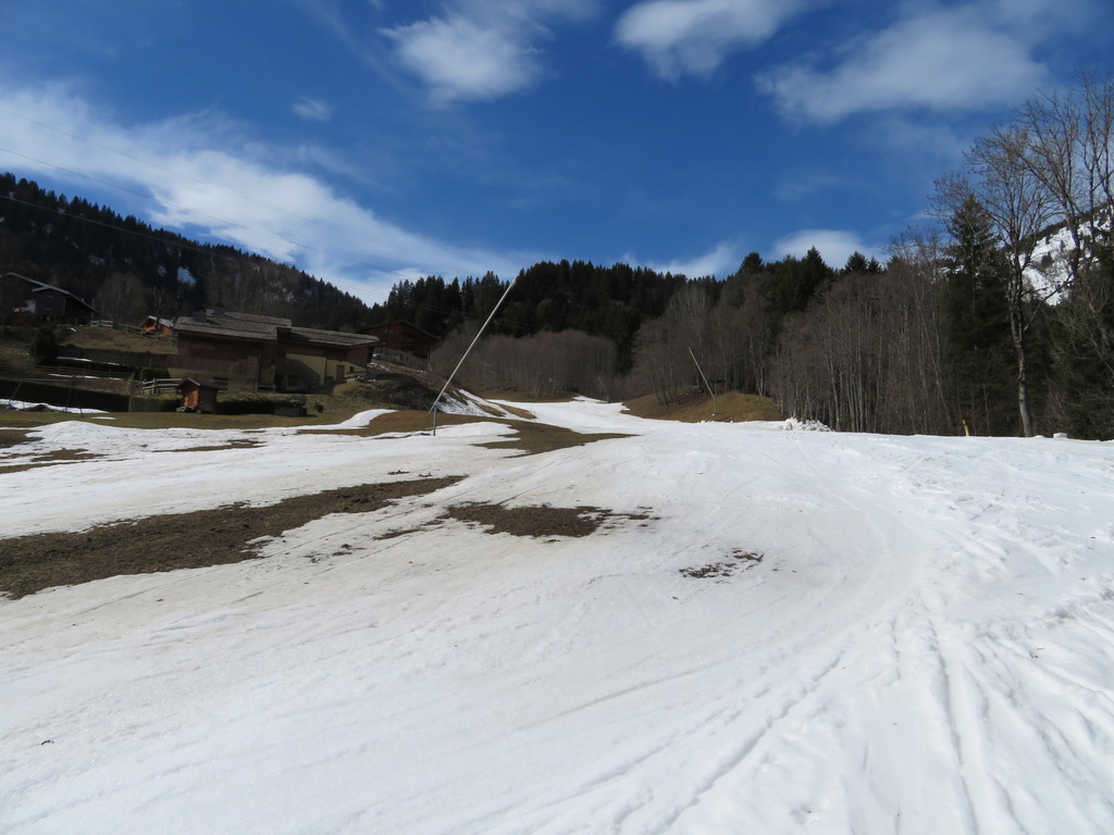 img_3799gfra1.jpg