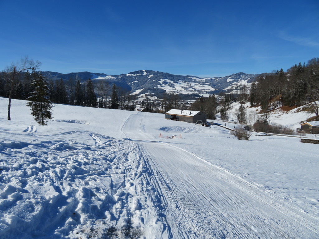 img_4348x2jho.jpg