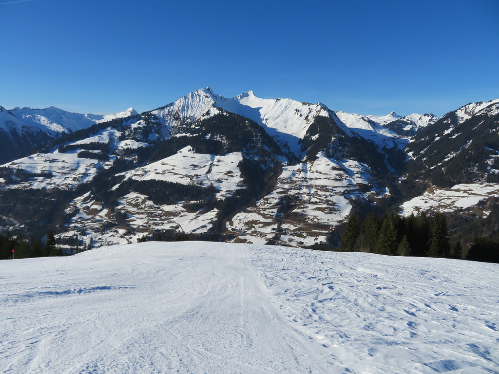 img_4409c3kph.jpg