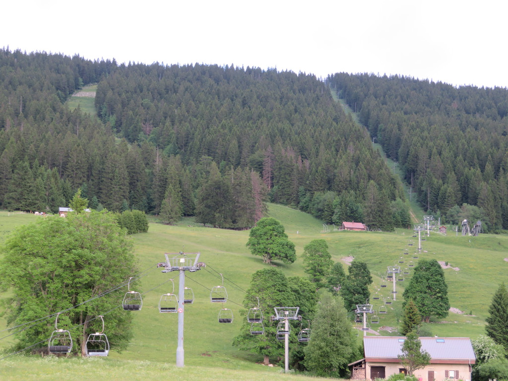img_4507fyj0w.jpg