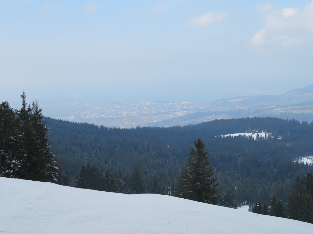 img_4508qvjoz.jpg