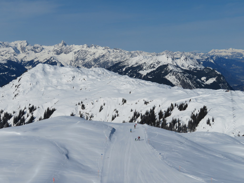 img_4516v6kf8.jpg