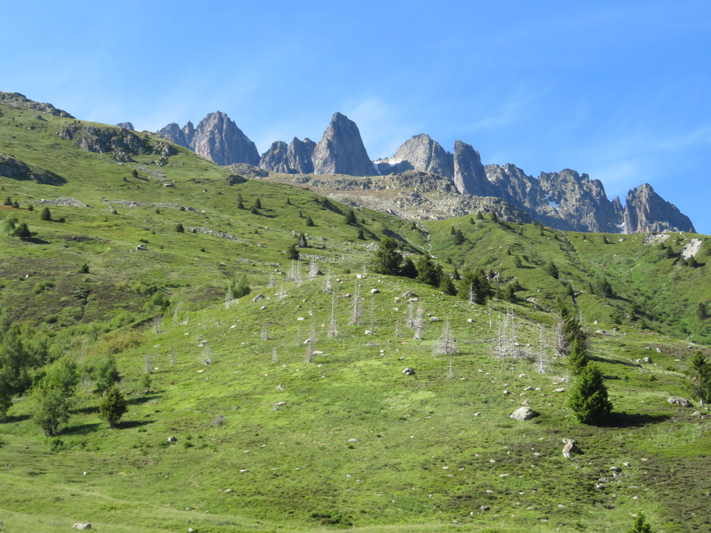 img_4955lnjun.jpg