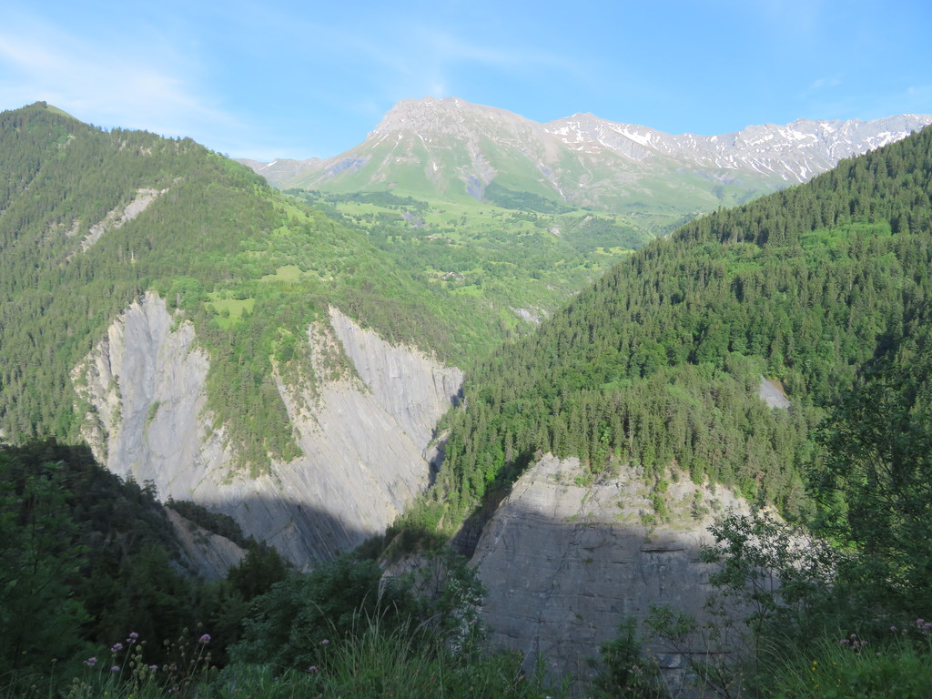 img_50080kjpj.jpg