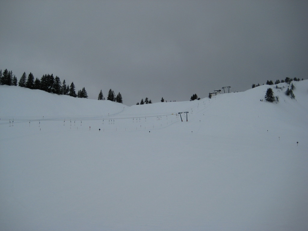 img_5186q5l40.jpg