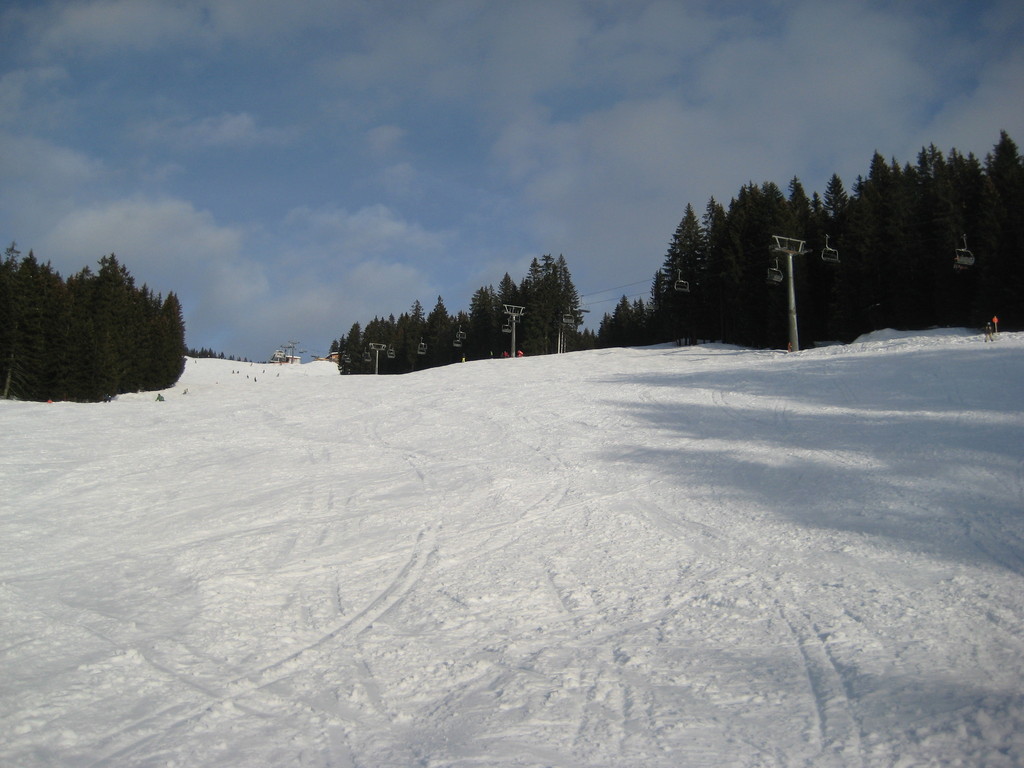 img_5321b8x4q.jpg