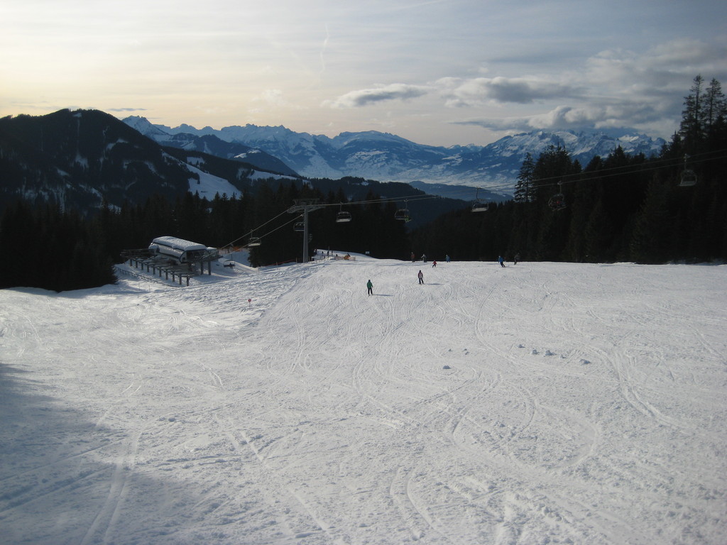 img_5323s5x4f.jpg