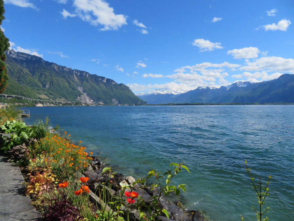 img_5425juj2q.jpg