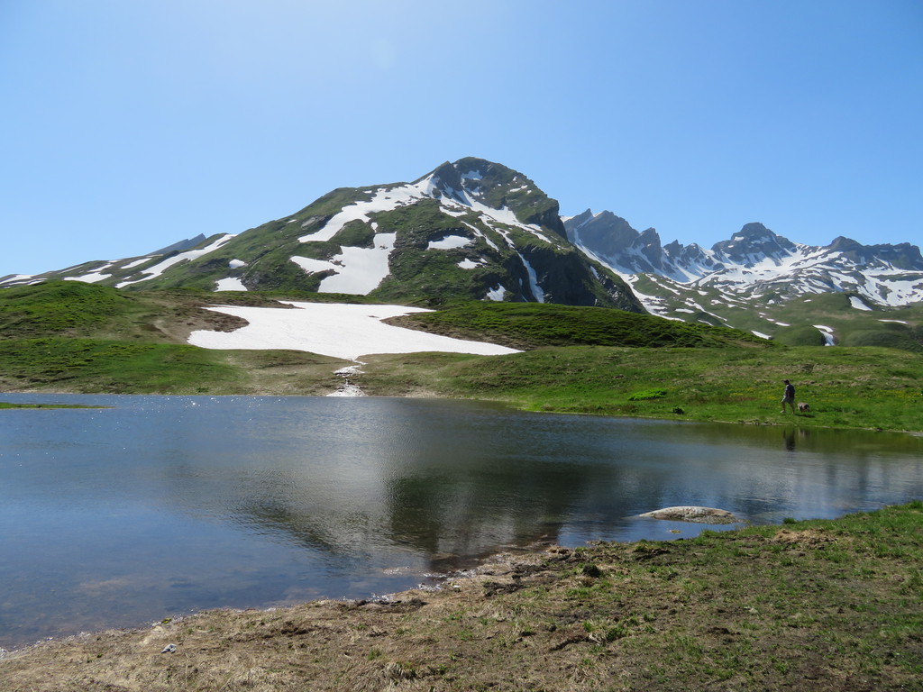 img_5459j4jm0.jpg
