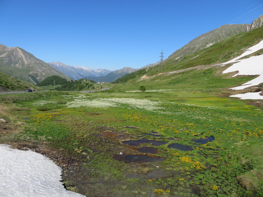 img_5466lgkgl.jpg