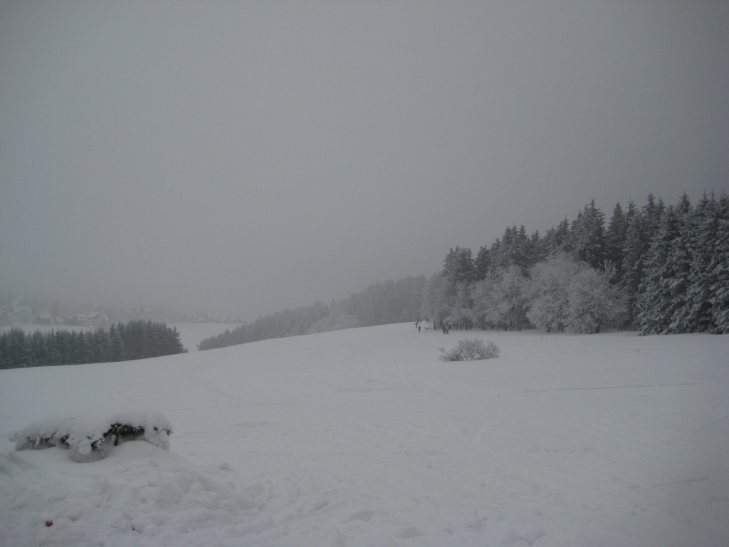 img_5851d1cep.jpg