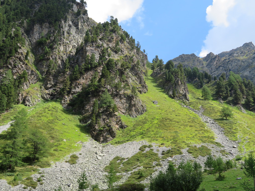 img_6349llerl.jpg