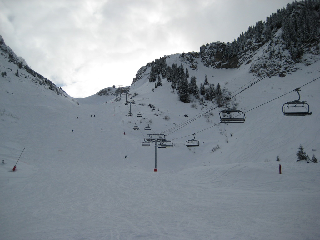 img_7361lbugs.jpg