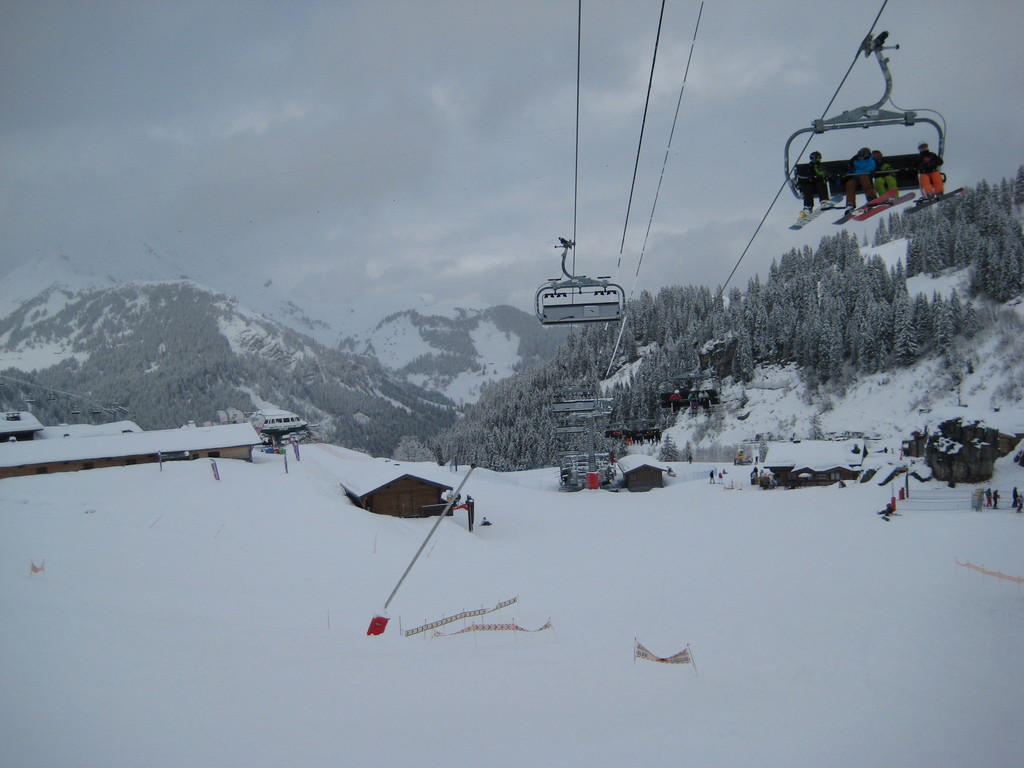 img_7393nquib.jpg