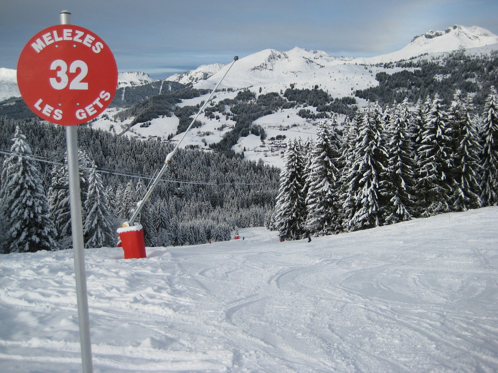 img_7441qkuj2.jpg