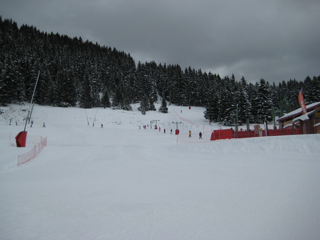 img_74843lubv.jpg