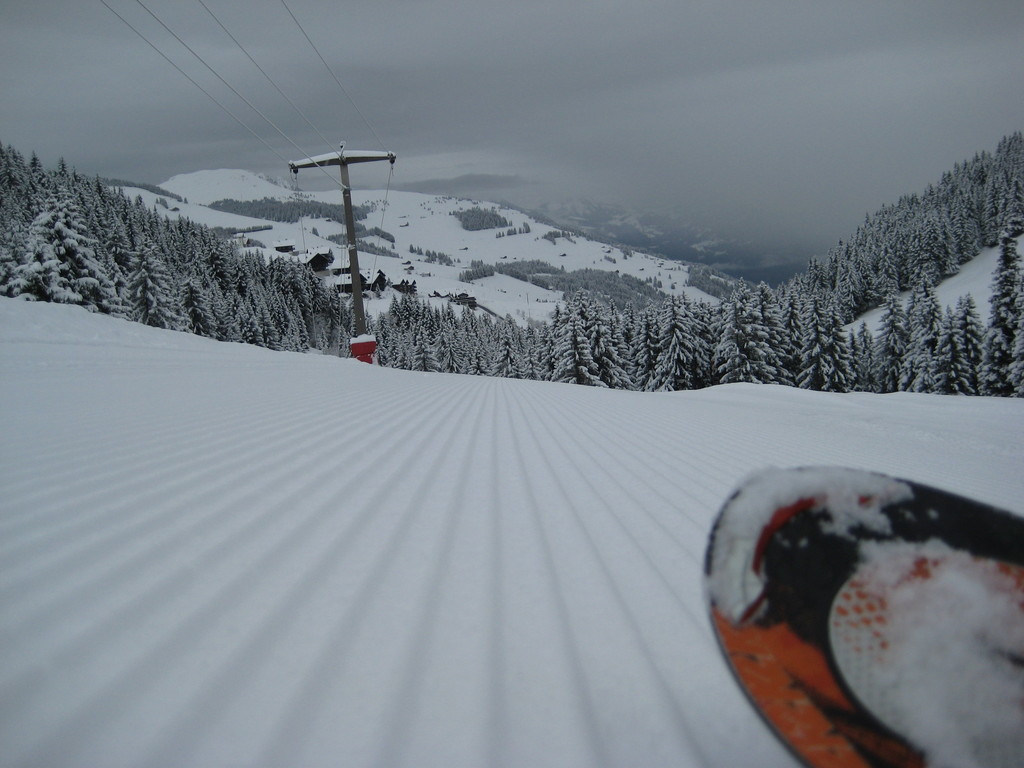 img_7576viu5u.jpg